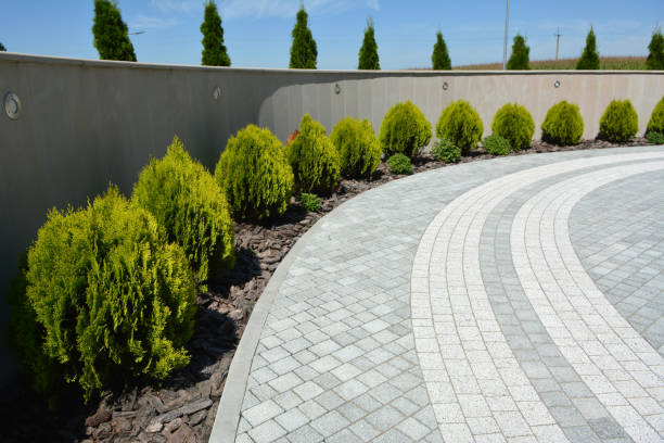 Reasons to Select Us for Your Driveway Paving Requirements in Dora, AL